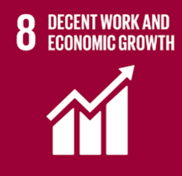 sdg 8
