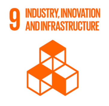 sdg 9